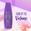 Aussie Miracle Volume for Fine Hair Daily Shampoo;  12.1 fl oz